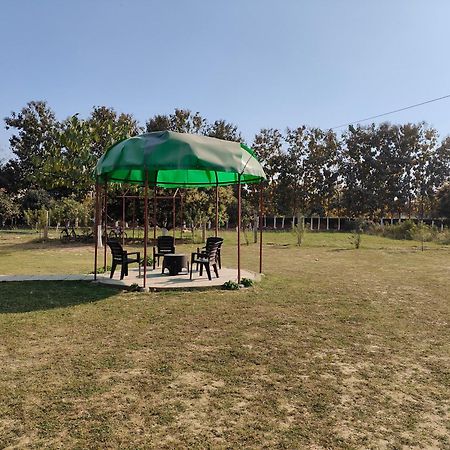 Nature Homestay Benares Buitenkant foto